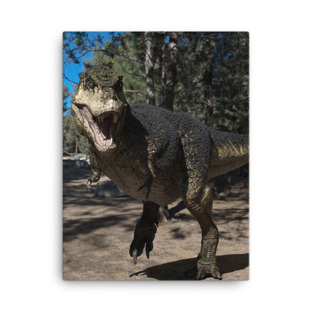 Canvas | North American T-Rex with Feathers