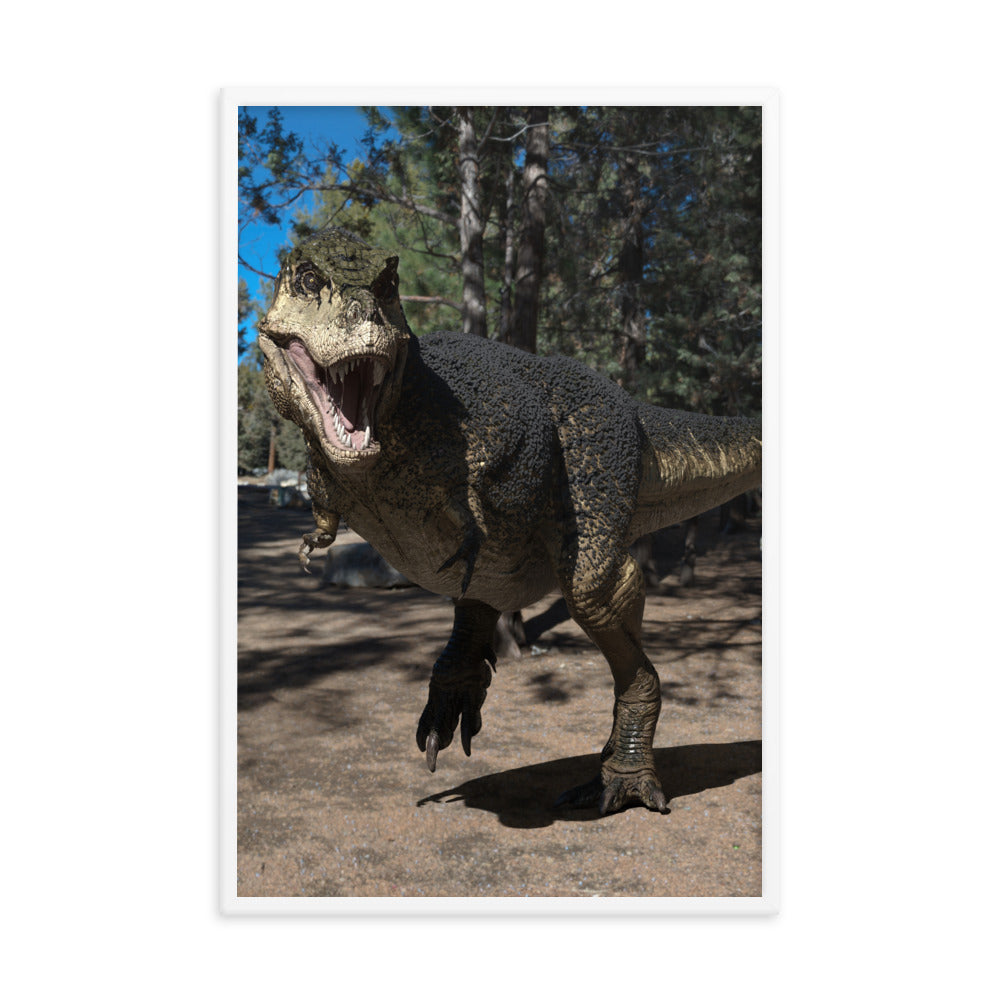Framed Poster | North American T-Rex with Feathers