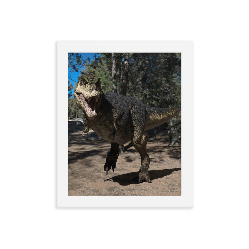 Framed Poster | North American T-Rex with Feathers