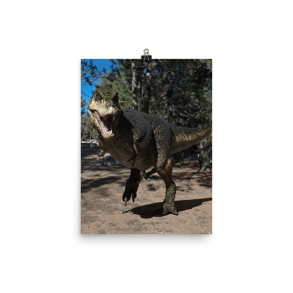Poster | North American T-Rex with Feathers