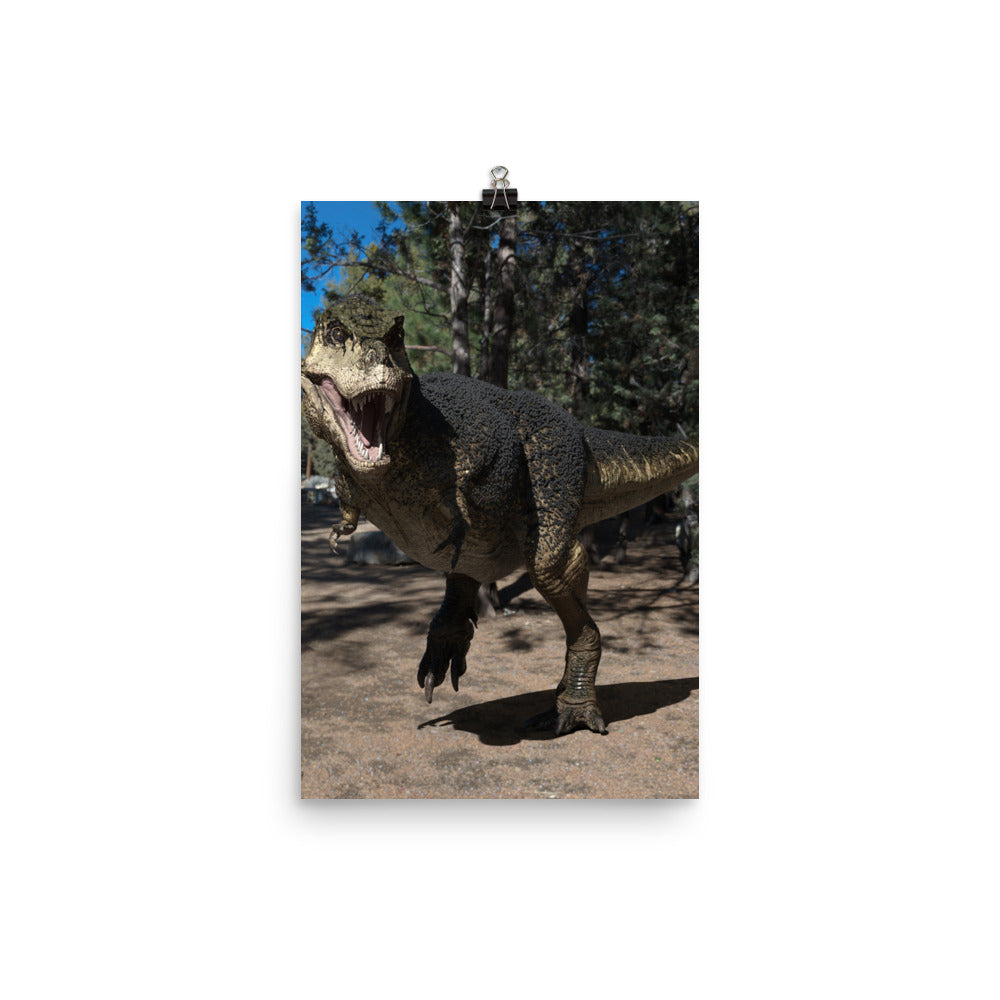 Poster | North American T-Rex with Feathers