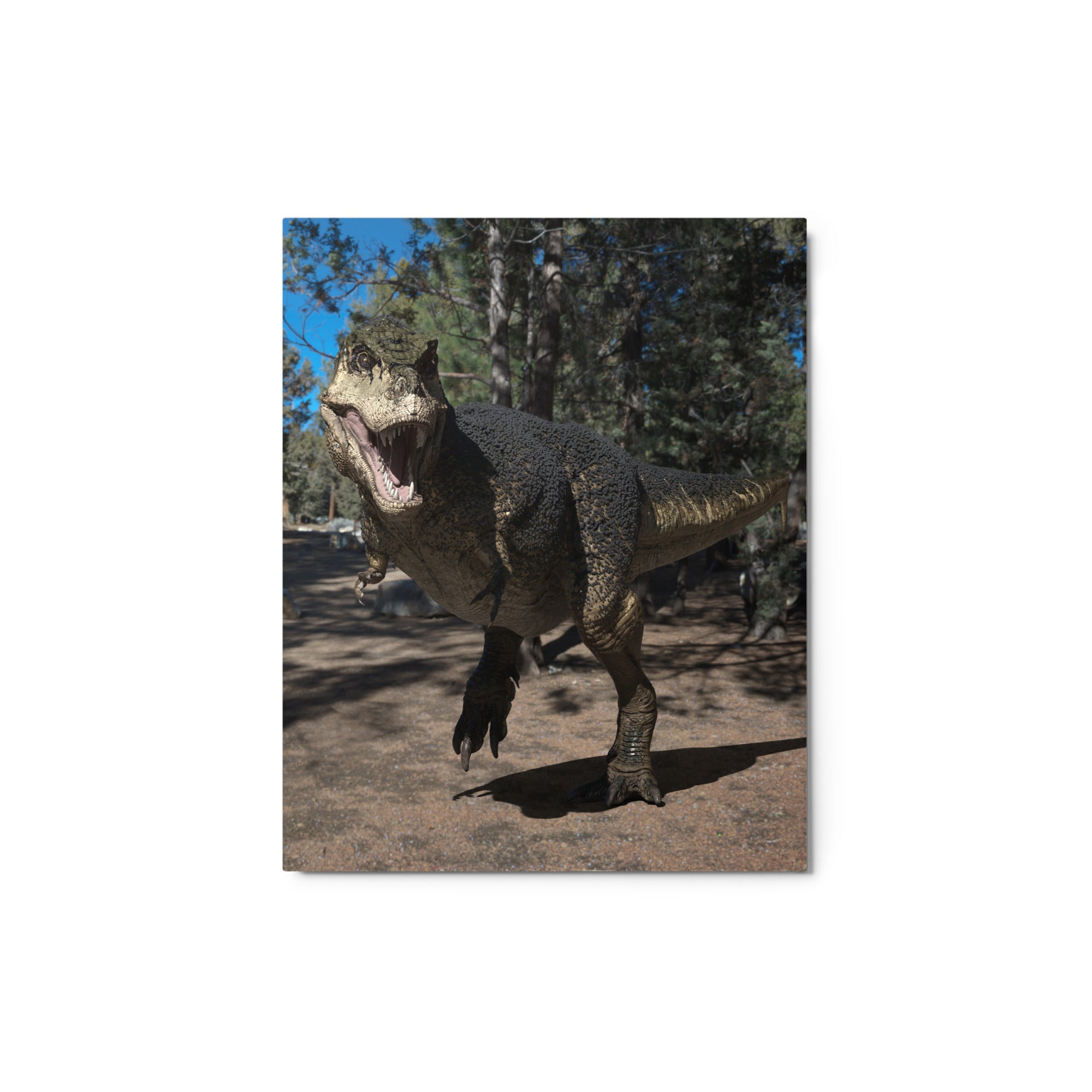 Metal Prints | North American T-Rex with Feathers